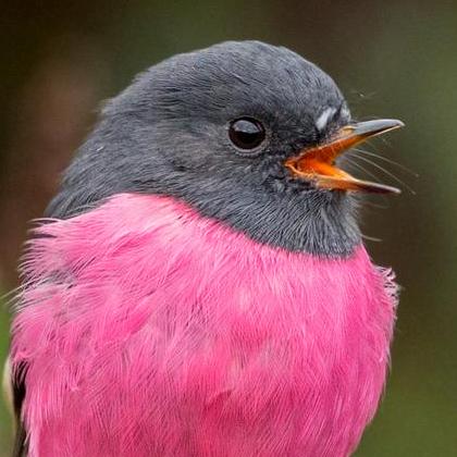 Phelpsbp Brittany Phelps Github - Best City Backgrounds in High Resolution