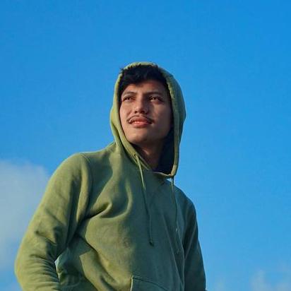 Github Syakirurahman Organization Tree - Premium Nature Photo Gallery - 8K