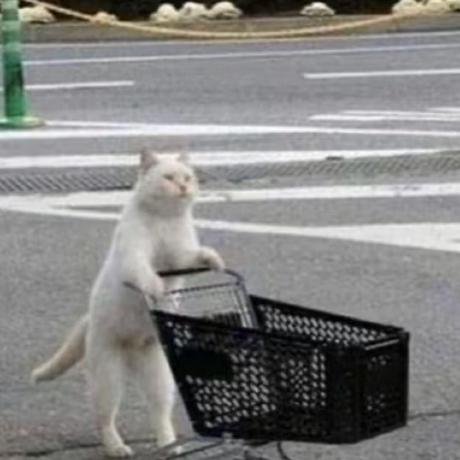 Github Cry Stall Sse Learning Resources - Premium Minimal Art Gallery - Desktop