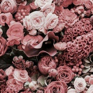 Fasna K Github - Best City Wallpapers in Desktop