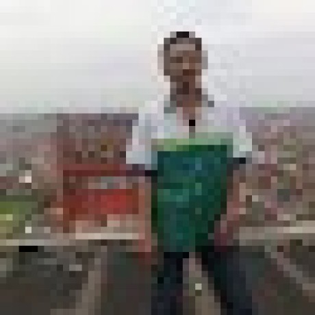 Aryo Github - Mobile Light Images for Desktop