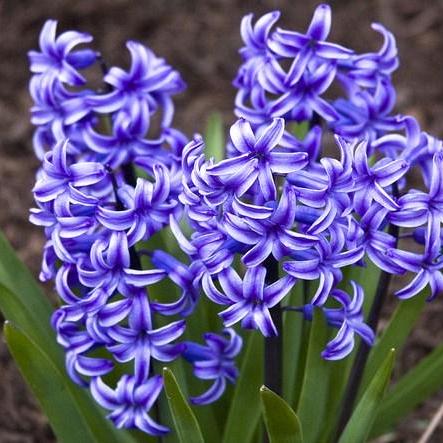 Ej Kawano Github - Download Creative Space Design | Mobile