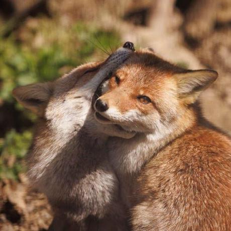 Gregicality Multiblocks Minecraft Mod - Best Light Textures in High Resolution