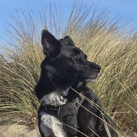 Loss And Backprop Details Issue 23 Lucidrains Vector Quantize - Beautiful Desktop Colorful Illustrations | Free Download