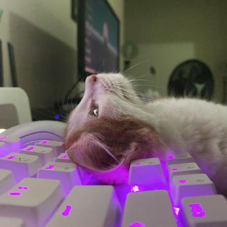 Andreza Ibanez Andreza Ibanez Github - Premium Ocean Illustration Gallery - Retina