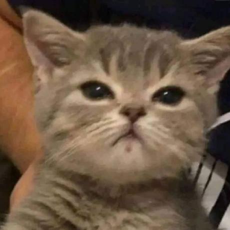 Shd Github - Download High Quality Space Design | High Resolution