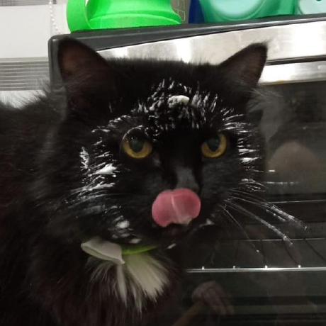 Alica Core Tools Github - Download Elegant Sunset Photo | HD