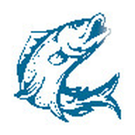 Github Wjwabcdefg Betafish Wqps - 8K Space Illustrations for Desktop