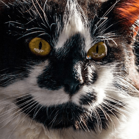 Aaron Mathis Github - Download Artistic Ocean Design | Retina