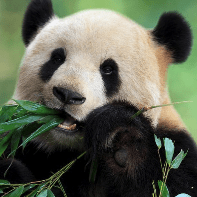 Keiichi Ono Github - Creative HD Colorful Arts | Free Download