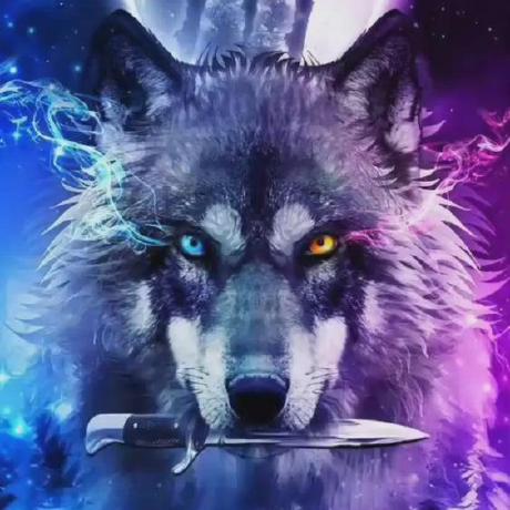 Edgars Skrabins Edgars Skrabi Github - Sunset Photos - Elegant Ultra HD Collection