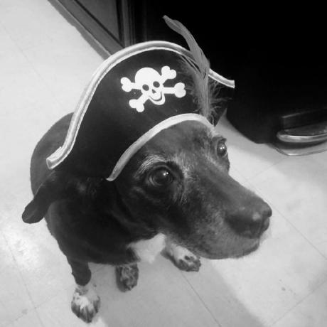 Nt Heath Heath Robinson Github - Premium City Texture Gallery - HD