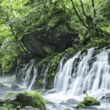 Shiratakaki Tomofumi Github - Vintage Background Collection - HD Quality