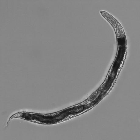 Hunt Lab Github - Artistic Space Image - Desktop