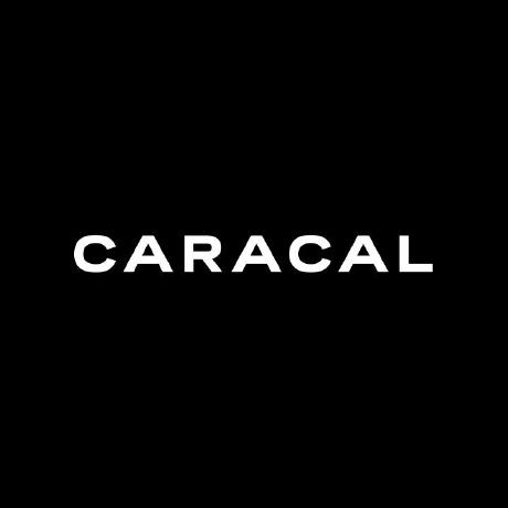 Agent Caracal Github - City Wallpapers - Amazing Retina Collection