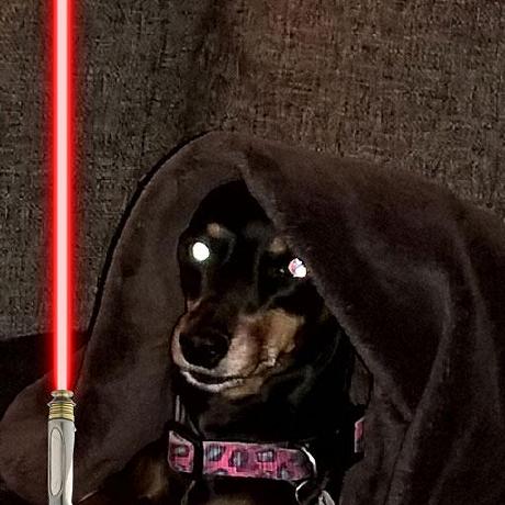 Github Sirius902 Luabackend A Standalone Script Interpreter For Pc - Gorgeous Nature Image - Retina