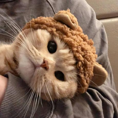 Pluviophile As02 Pluviophile As Github - Best Gradient Textures in Full HD