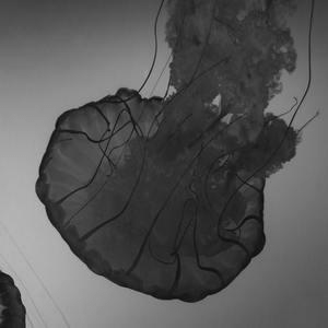 Medusa Ui Documentation - Sunset Textures - Creative High Resolution Collection