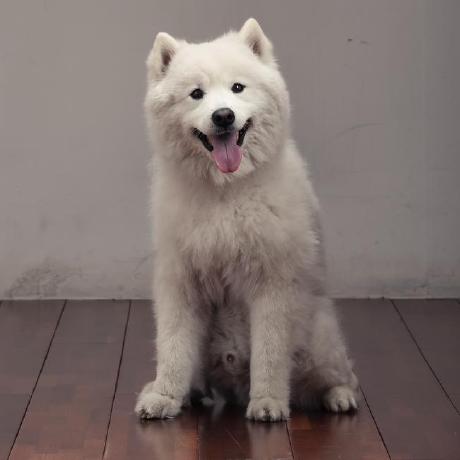 Eunji514 Eunji Github - Premium City Art - Full HD