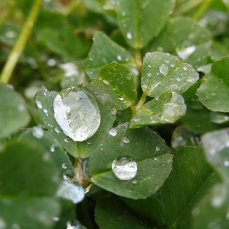 Fabric Voice Chat Broadcast Minecraft Mod - Premium Gradient Pattern Gallery - Retina