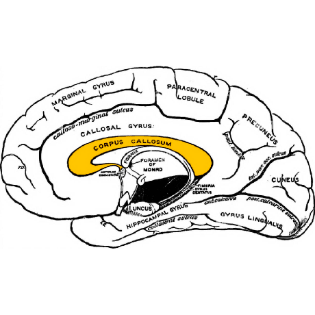 Github Daltonkim Splyd - Artistic Colorful Background - Desktop