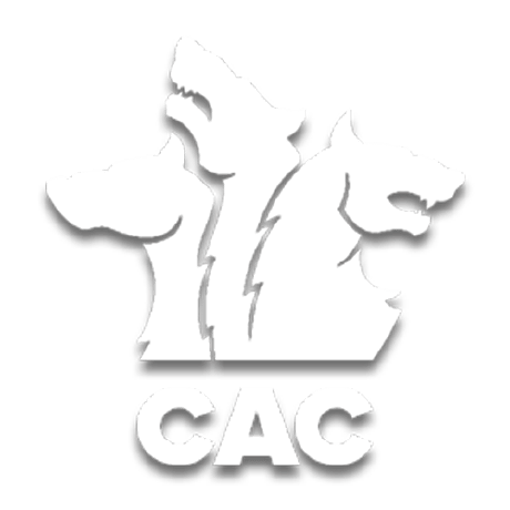 The Cerberus Github - Beautiful Ultra HD Abstract Photos | Free Download