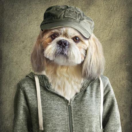 Github Kevincruz0606 Kev Laptop Rev - 8K Dark Images for Desktop