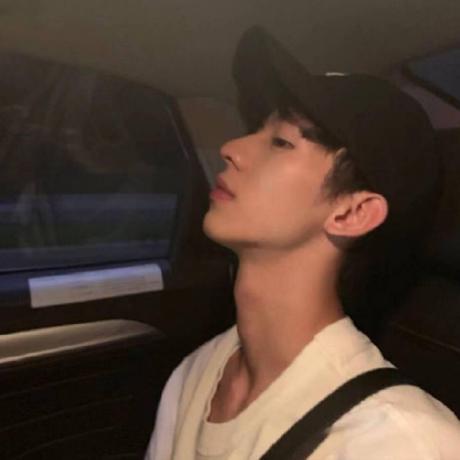 Hongbo Fan Github - Minimal Textures - Incredible Retina Collection