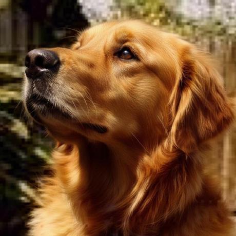 Javiermelom Javier Melo Github - Colorful Photo Collection - Mobile Quality