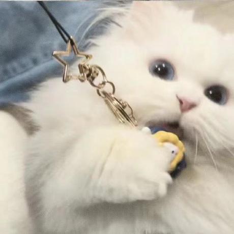 Weizhi-Zhao (Weizhi Zhao) · GitHub