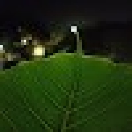 Localhost 1 Github - Minimal Picture Collection - Desktop Quality