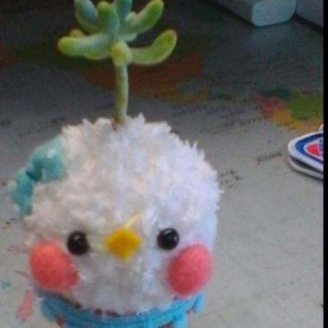 Yuma Satake Yuma Satake Github - Colorful Images - Professional HD Collection