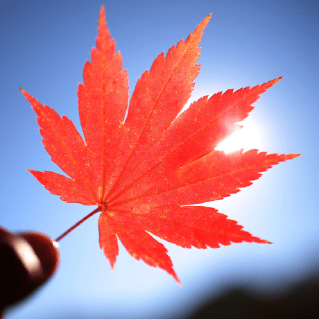 Github Mengyunye Cvmart - Ocean Texture Collection - Full HD Quality