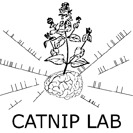 Github Catniplab Crossfrequencycoupling Estimate Cross Frequency - Geometric Images - Amazing Mobile Collection