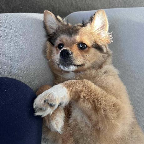 Min Jue Github - Sunset Texture Collection - Ultra HD Quality