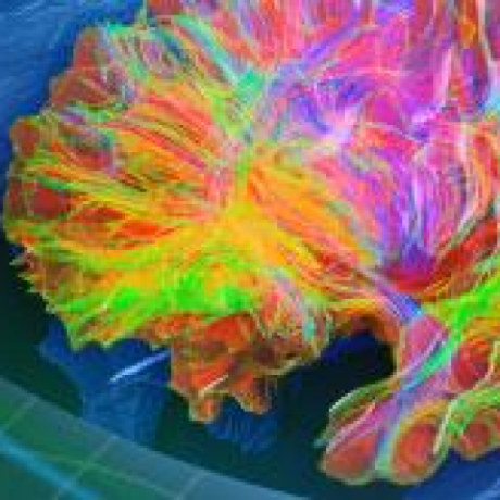 Fnndsc Github - Download High Quality Space Illustration | 8K