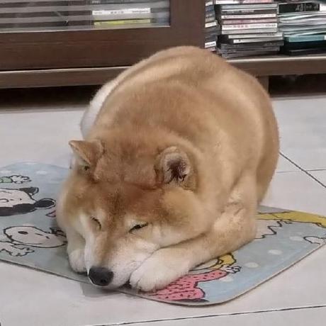 Shih Chi Github - Gradient Photo Collection - Ultra HD Quality