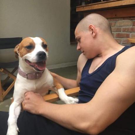 Taso Wn Github - High Resolution Geometric Illustrations for Desktop