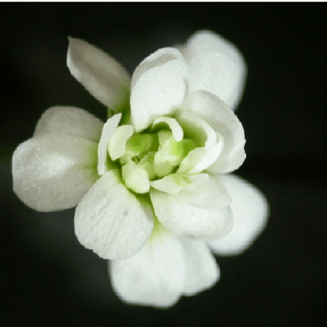 Lionel Kaufmann Lionel Kaufmann Github - Light Patterns - Ultra HD Ultra HD Collection