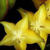 Github Speedstarskiwi Recreated Functions Recreated Roblox Inlined - Amazing Minimal Pattern - Retina