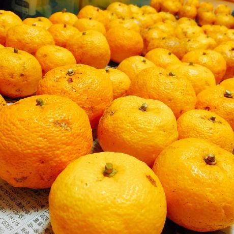 Github Mayu Nagata Box - Download Ultra HD Sunset Photo | High Resolution