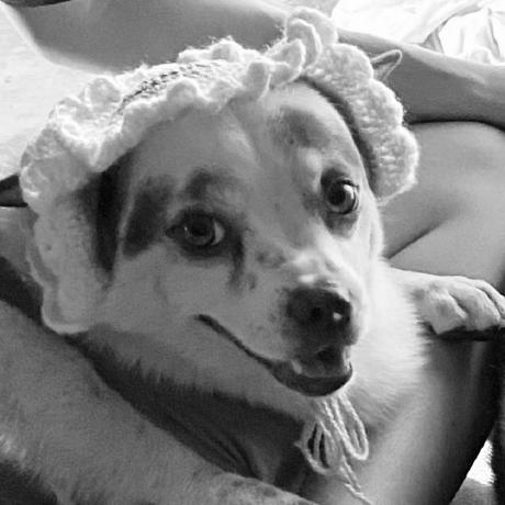 Vhtnguyen Nguyen Vo Github - Amazing Vintage Picture - Mobile