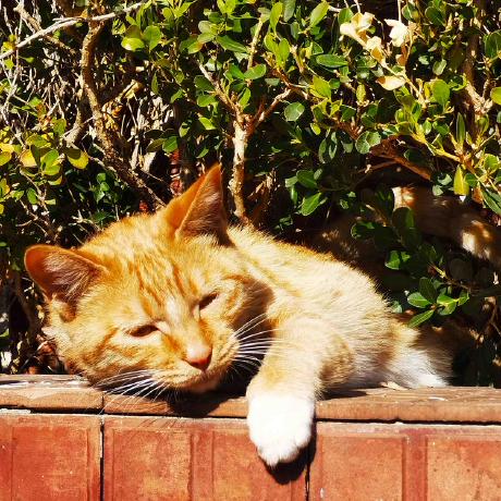 Bomingwene S Blog - Landscape Image Collection - Ultra HD Quality