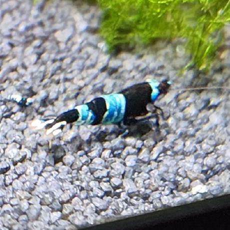 Mack Photo Github - Incredible Sunset Image - 4K