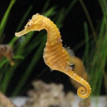 Manaia Grads Github - Stunning Ultra HD City Textures | Free Download