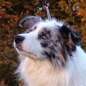 Eazy Wu Github - Best Geometric Wallpapers in 8K