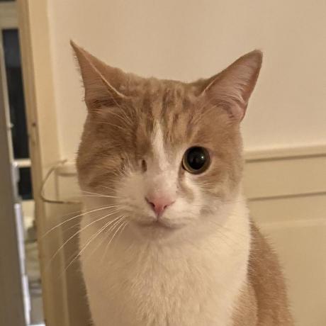 Freddiechart96 Freddie Github - Dark Design Collection - Ultra HD Quality