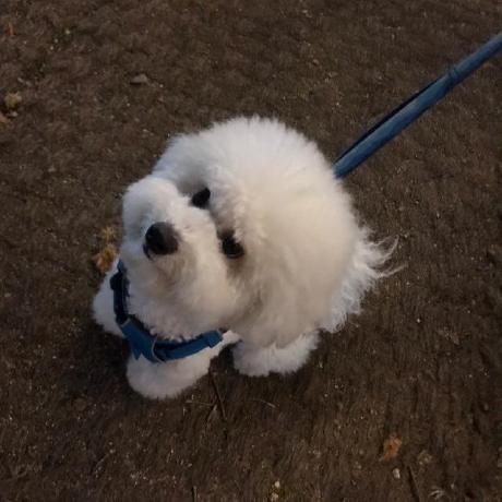 Jane Ozlabs Github - Download High Quality City Pattern | Mobile