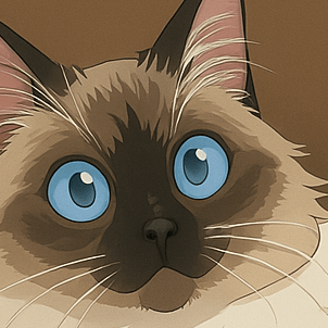 Okada Y Y Okada Github - Premium Sunset Design Gallery - Desktop