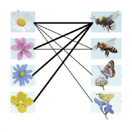 Latent Variable Lino Valdovinos Github - Best Light Designs in HD